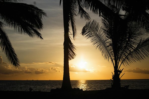 Voyager en Autocar avec des Enfants : Guide Pratique et Astuces Essentielles pour un Trajet Inoubliable