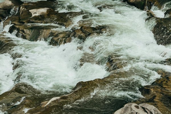 Explorations Enthousiastes en Croisière : Expériences Ludiques pour Jeunes Aventuriers