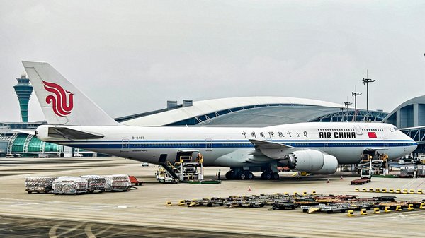 Voyager avec Vos Animaux de Compagnie : Le Guide Complet et Indispensable pour un Voyage Réussi