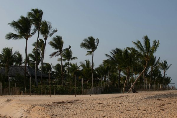 Guide thailande : activités incontournables et conseils voyage